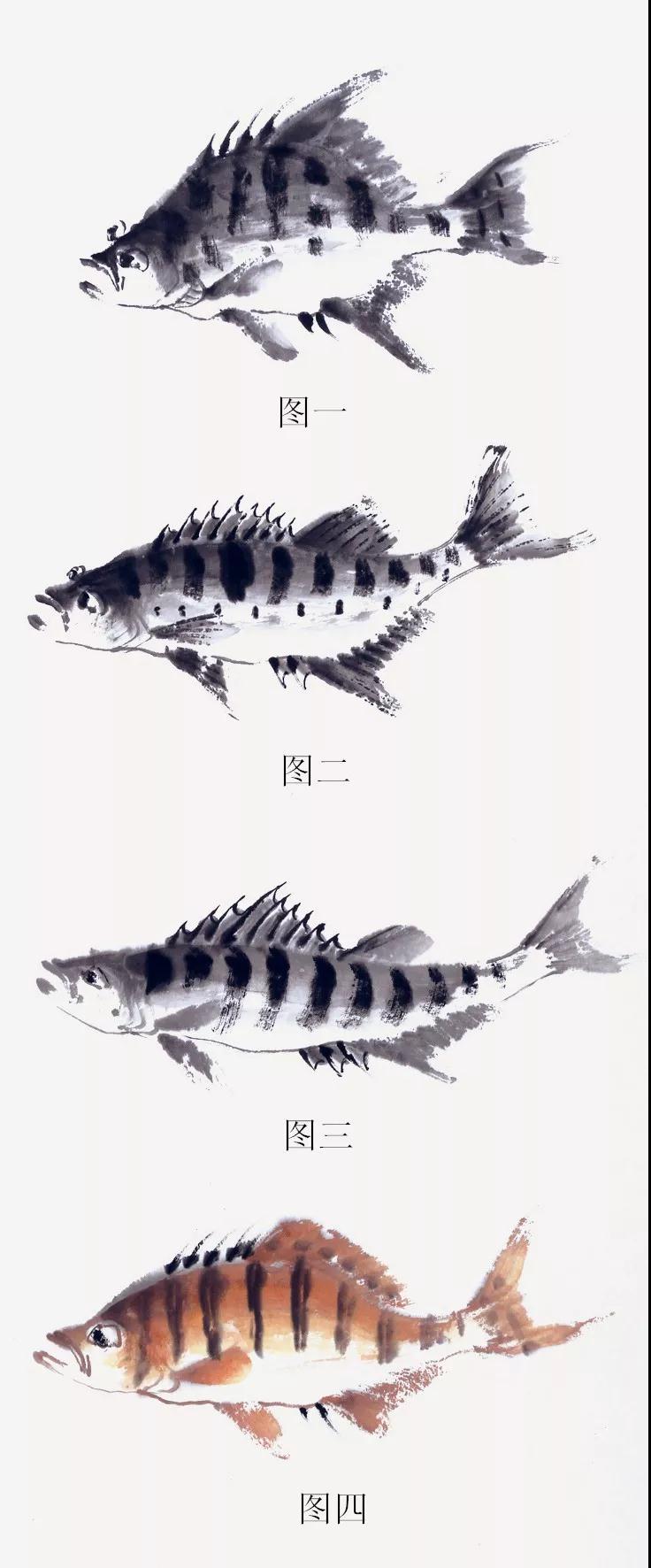 冯增木原创国画鱼类画法系列之《热带鱼画法》